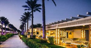 пальмы у отеля Rixos Sharm El Sheikh 5*