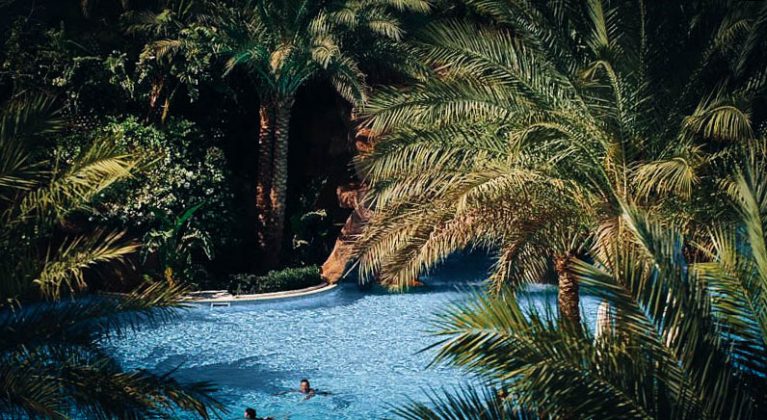 havuz ve palmiye ağaçları